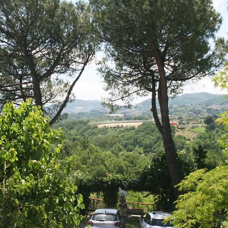 圣尼古拉曼弗雷迪Il Nido Della Colombaia住宿加早餐旅馆 外观 照片