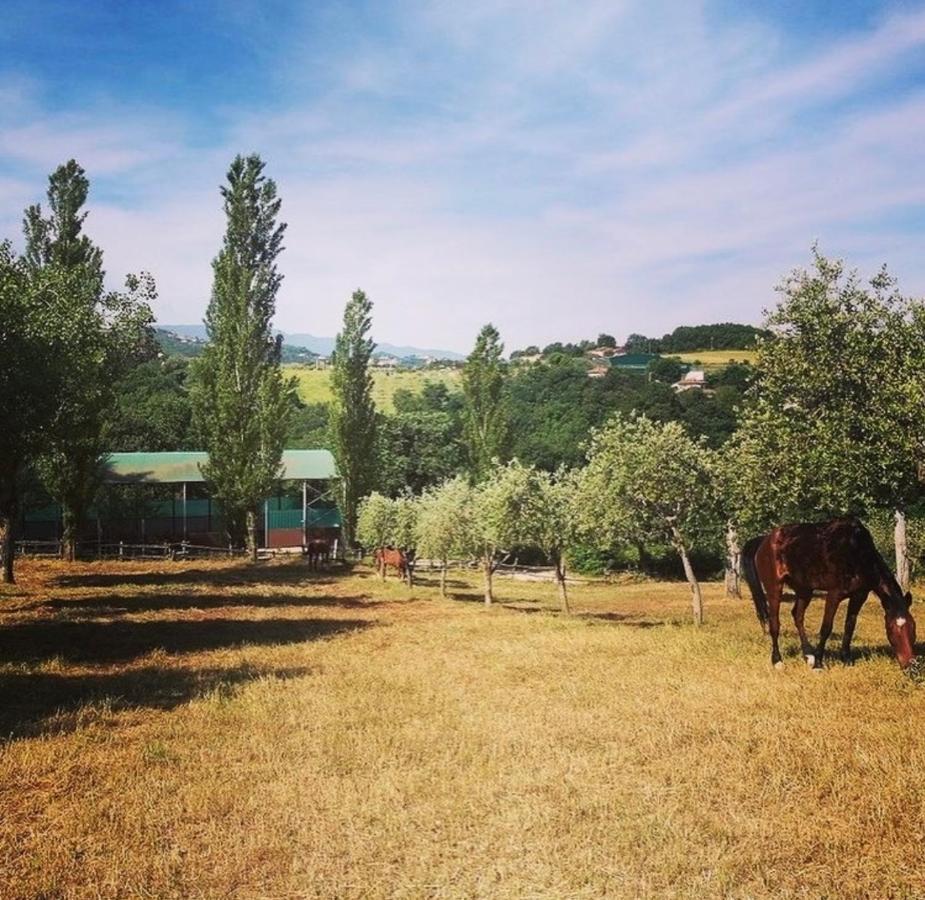 圣尼古拉曼弗雷迪Il Nido Della Colombaia住宿加早餐旅馆 外观 照片